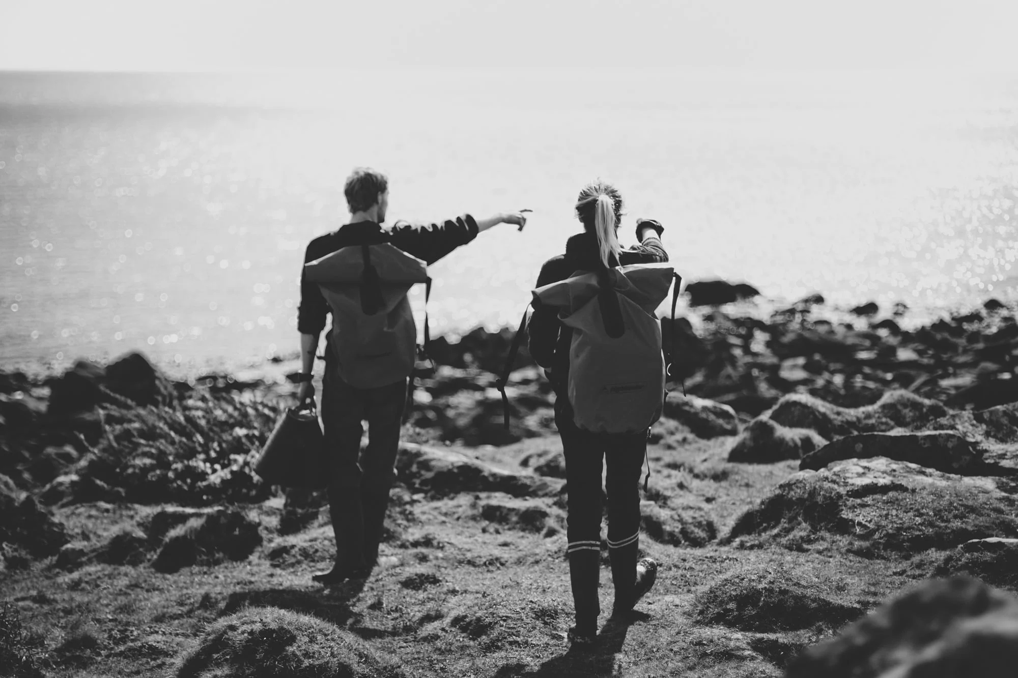 seaweed sustainable superfood