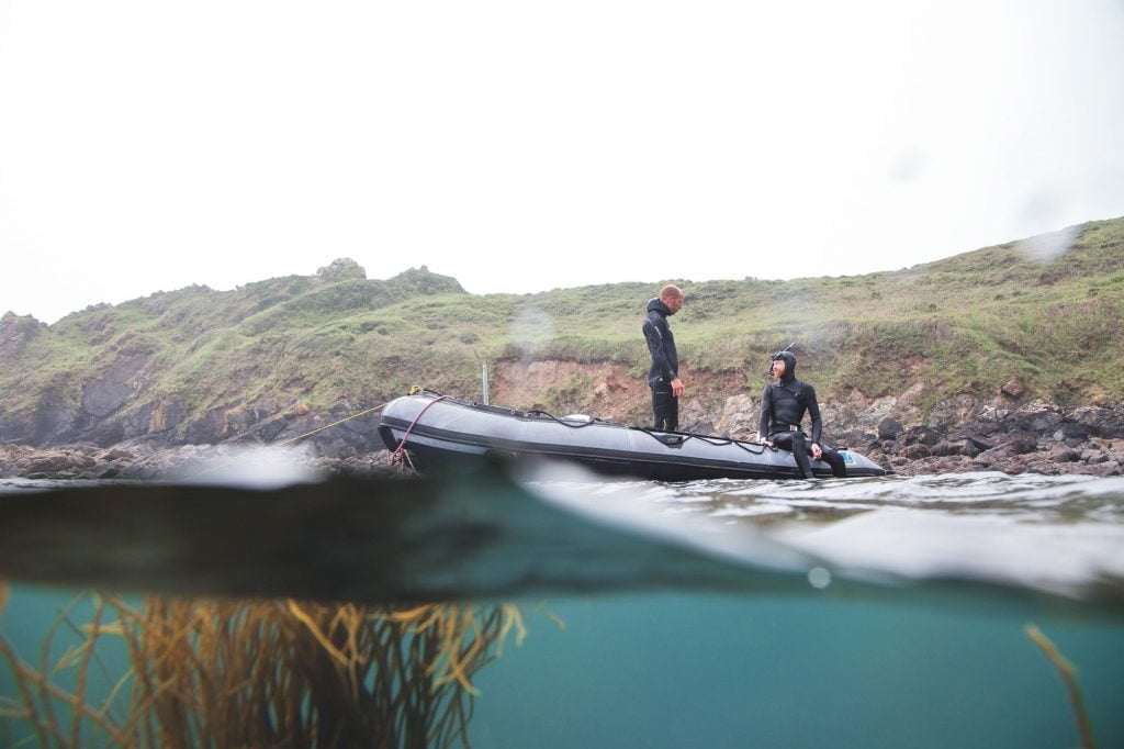 eco friendly harvesting of seaweed