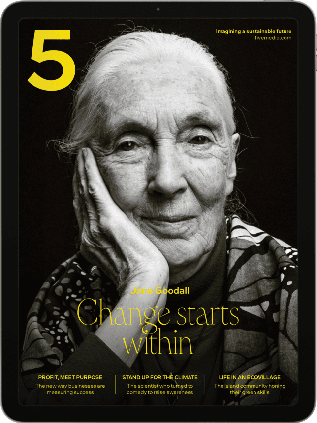 Volume 1 (Digital Edition)