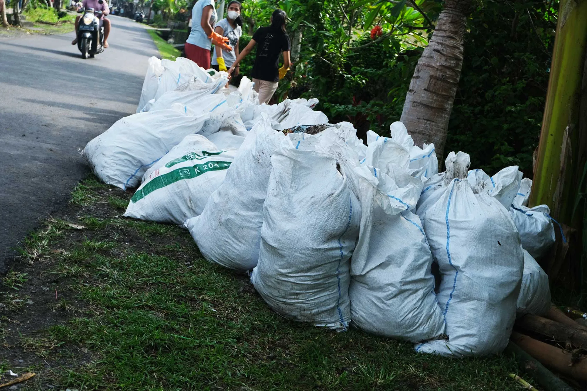 bags of collected plastics on bali