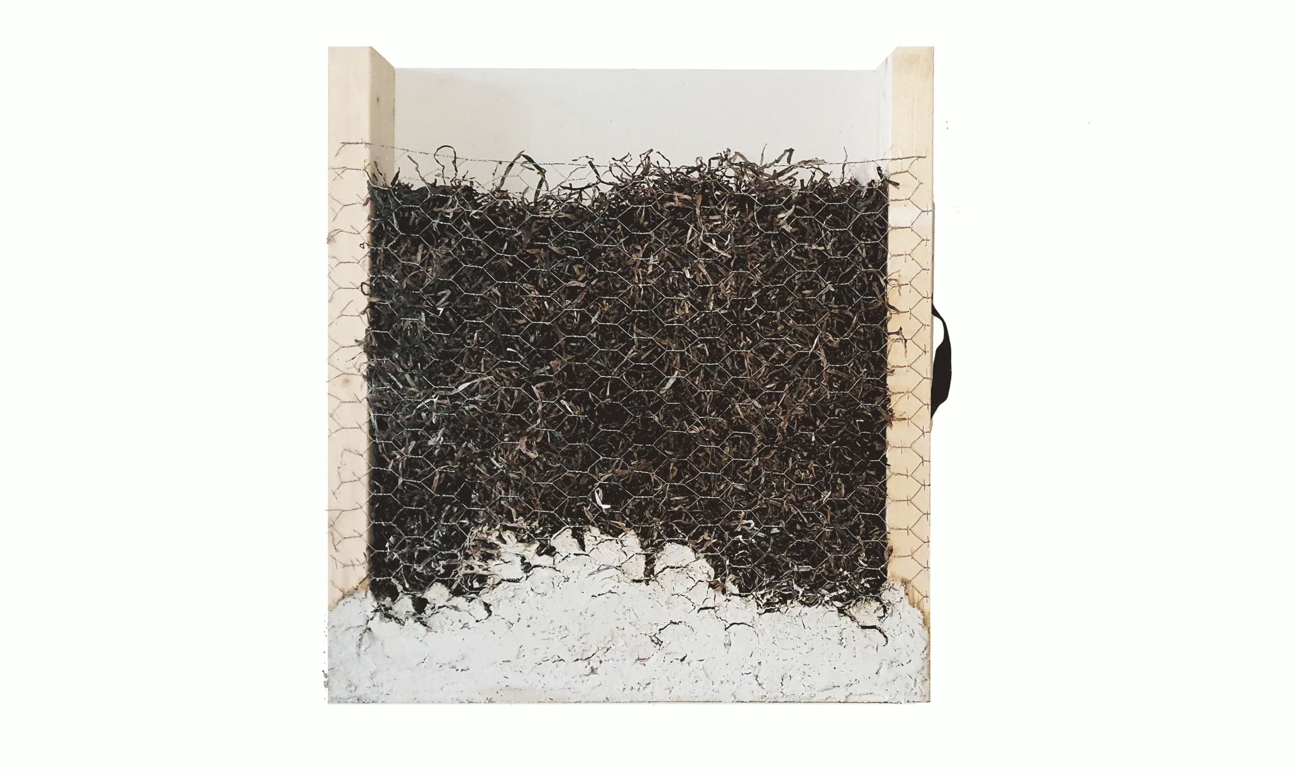 美品 raw life factory Cabanel SEAWEED Kathryn Larsen aka the Seaweed Girl, builds houses from seaweed