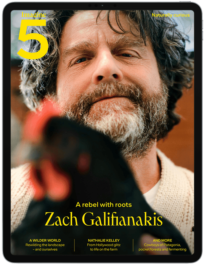Volume 5 (Digital Edition)