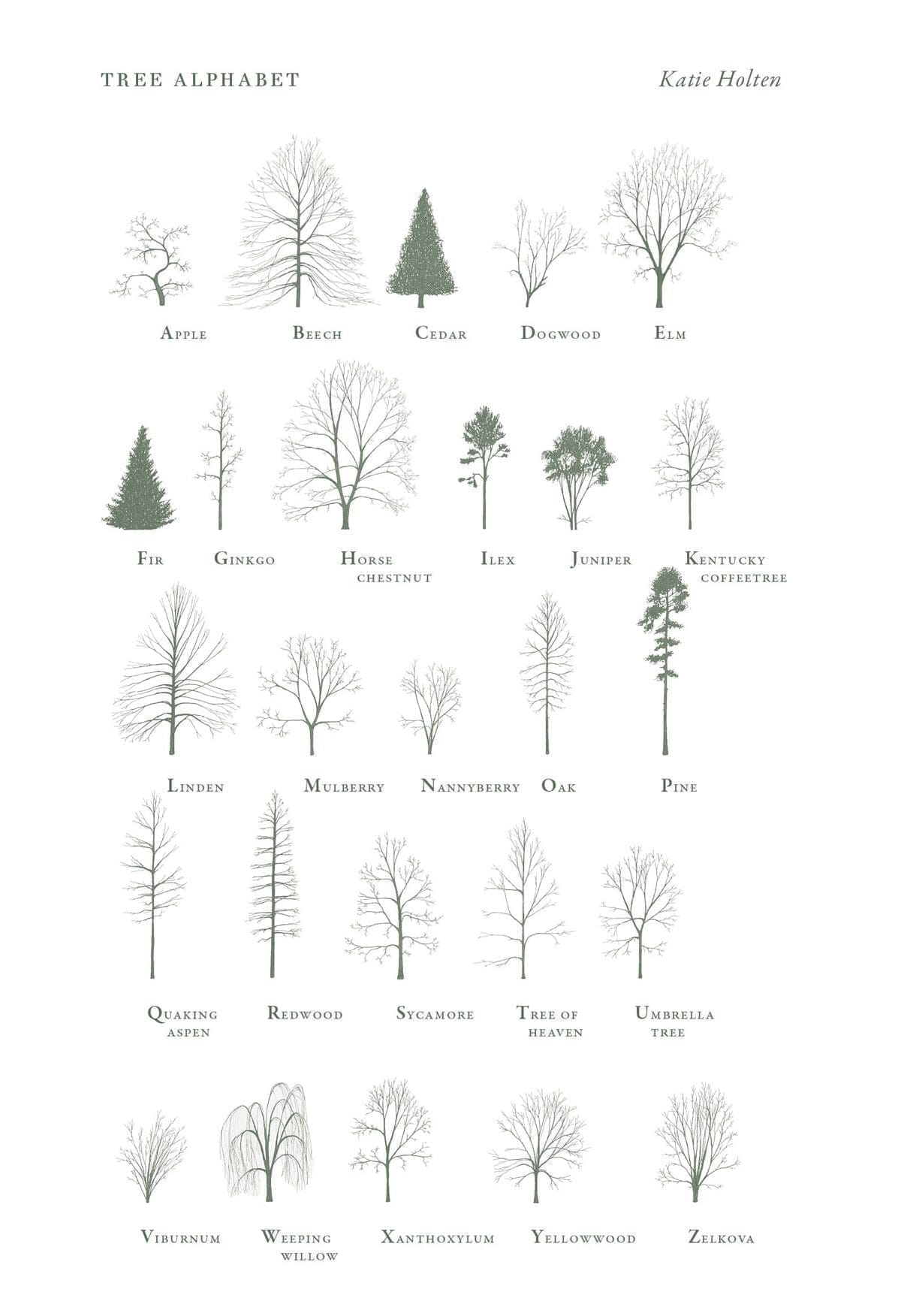 tree alphabet