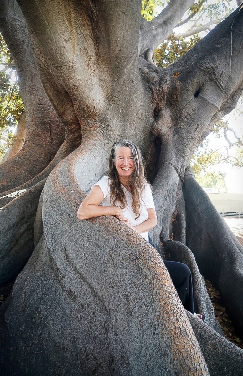 katie holten on the language of trees