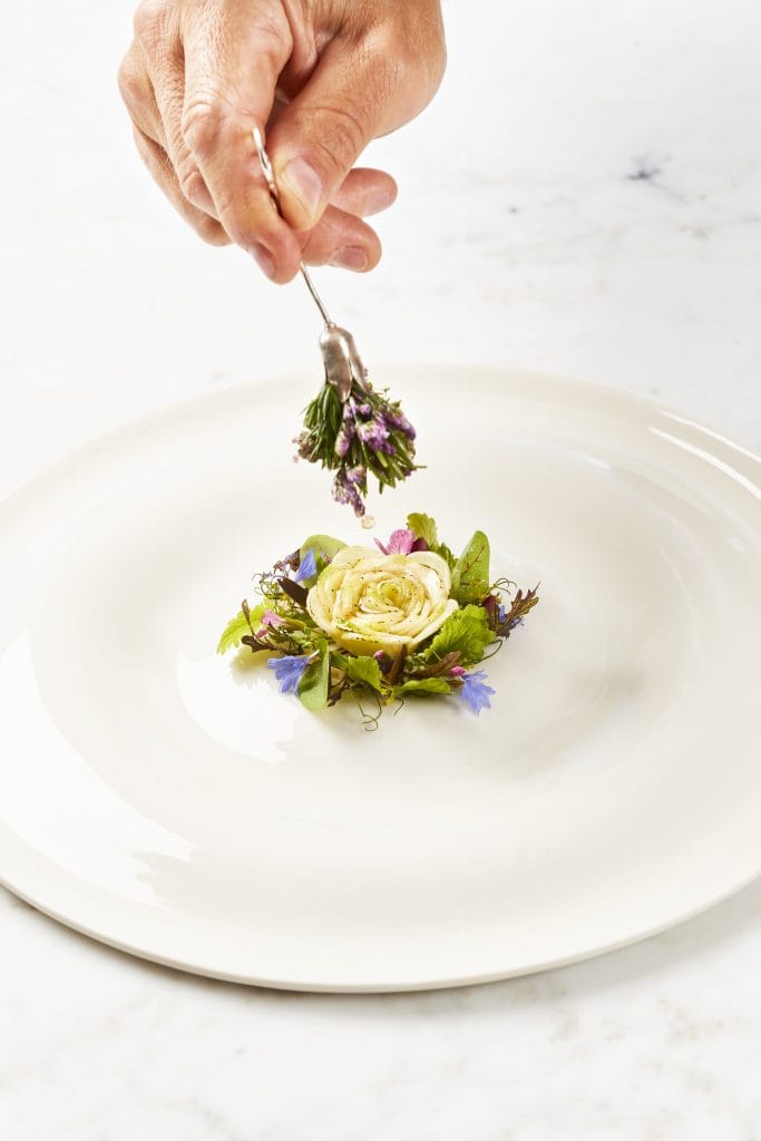 Courgette Roi Soleil With Lemon Verbena, Green Sprouts & Goat Cheese. One of the dishes you can experience at the restaurant Geranium in Copenhagen