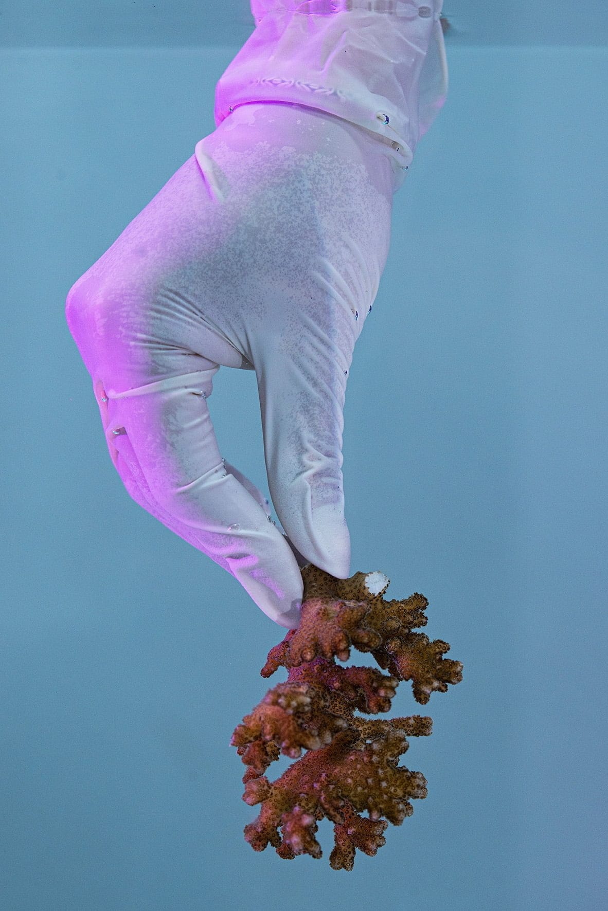 A hand holding coral under water