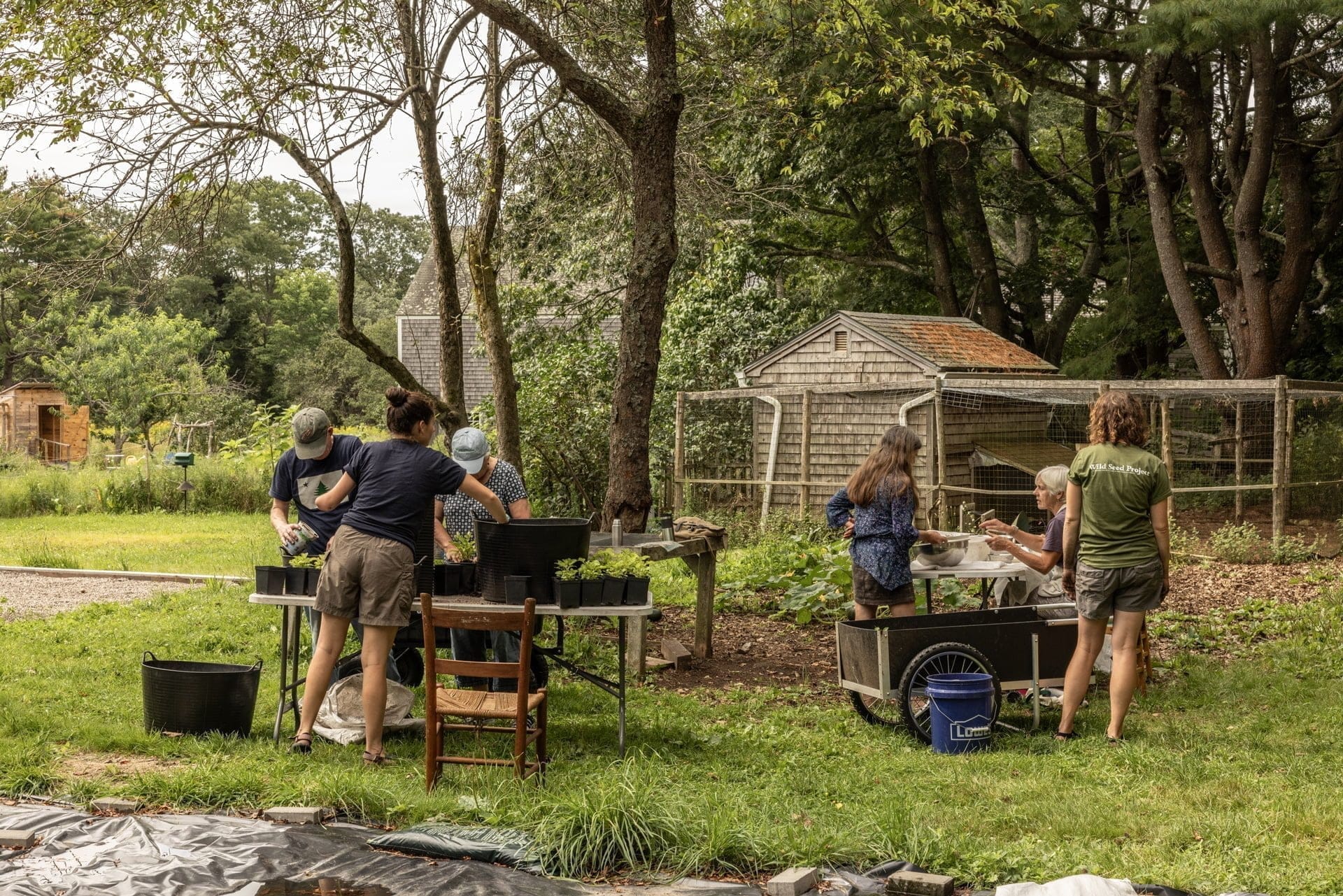 gardeners uniting in the wild seeds project