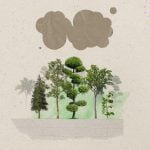 what are carbon offsets?