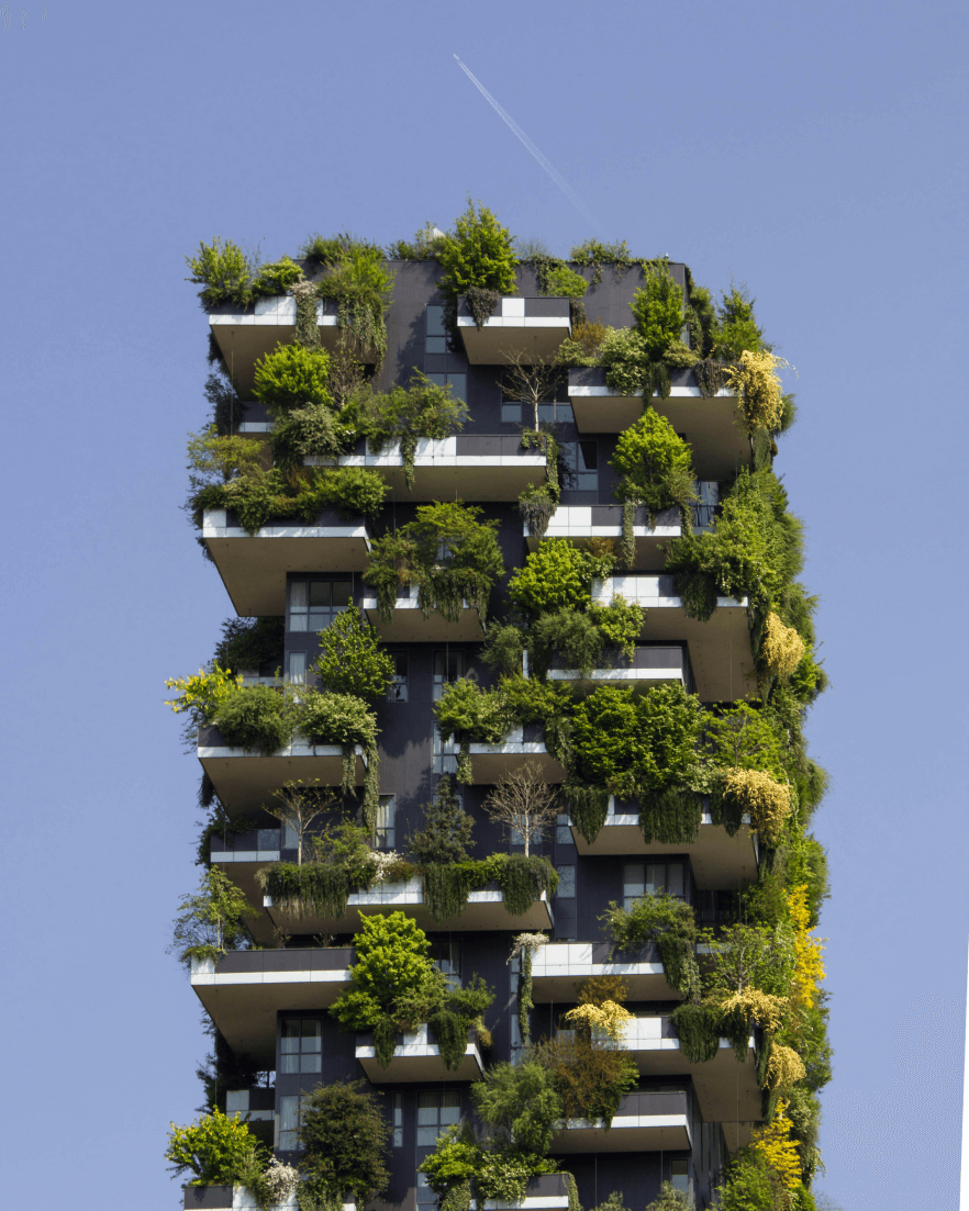 greener cities as result of positive human impact on the environment