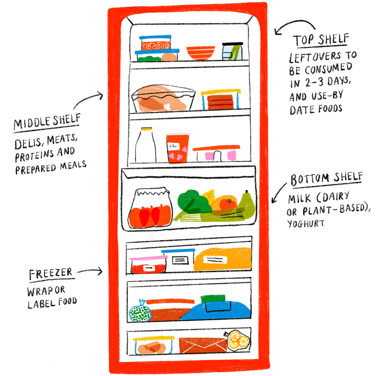 illustration with tips to store food in your fridge preventing food waste