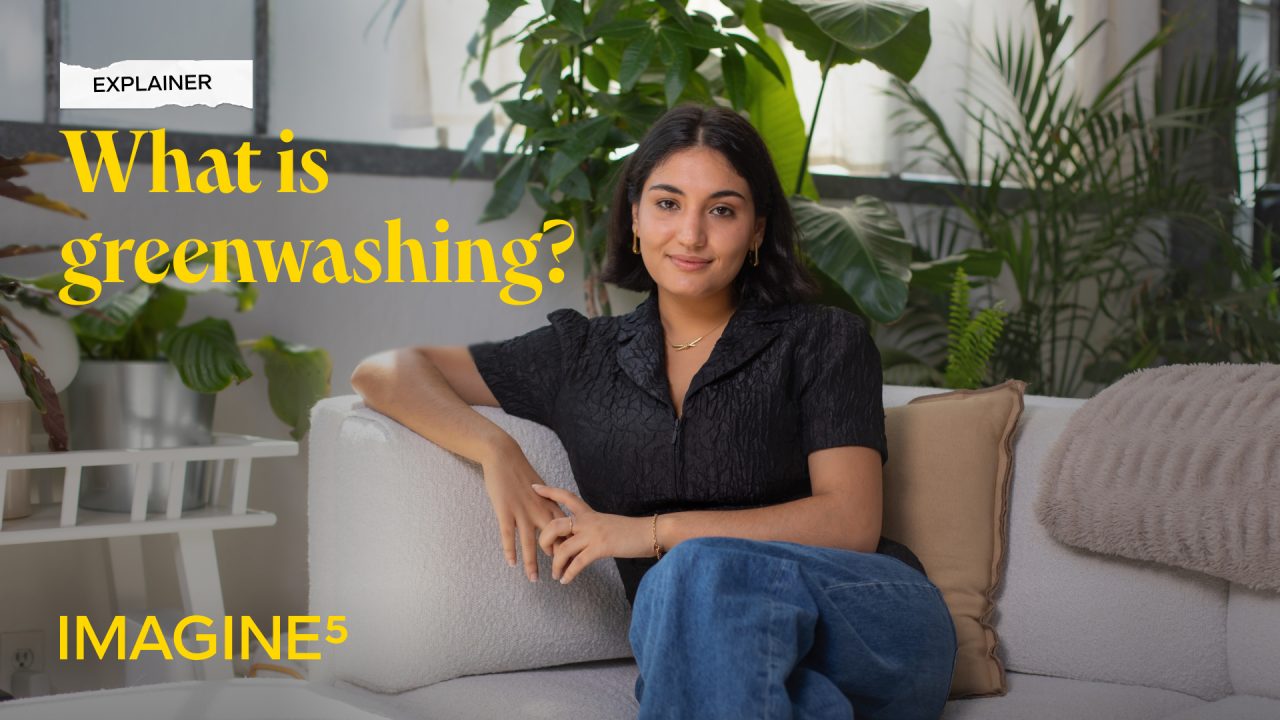 explainer what is greenwashing?