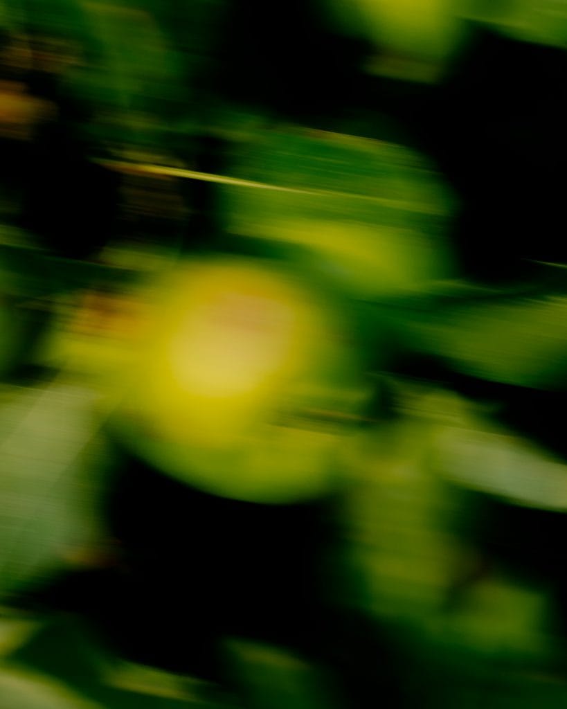 blurry shot of an apple