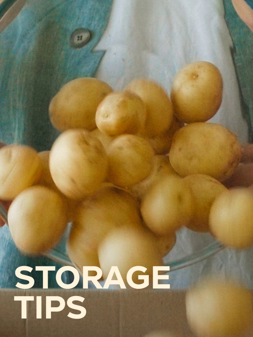 Tips on how to store food