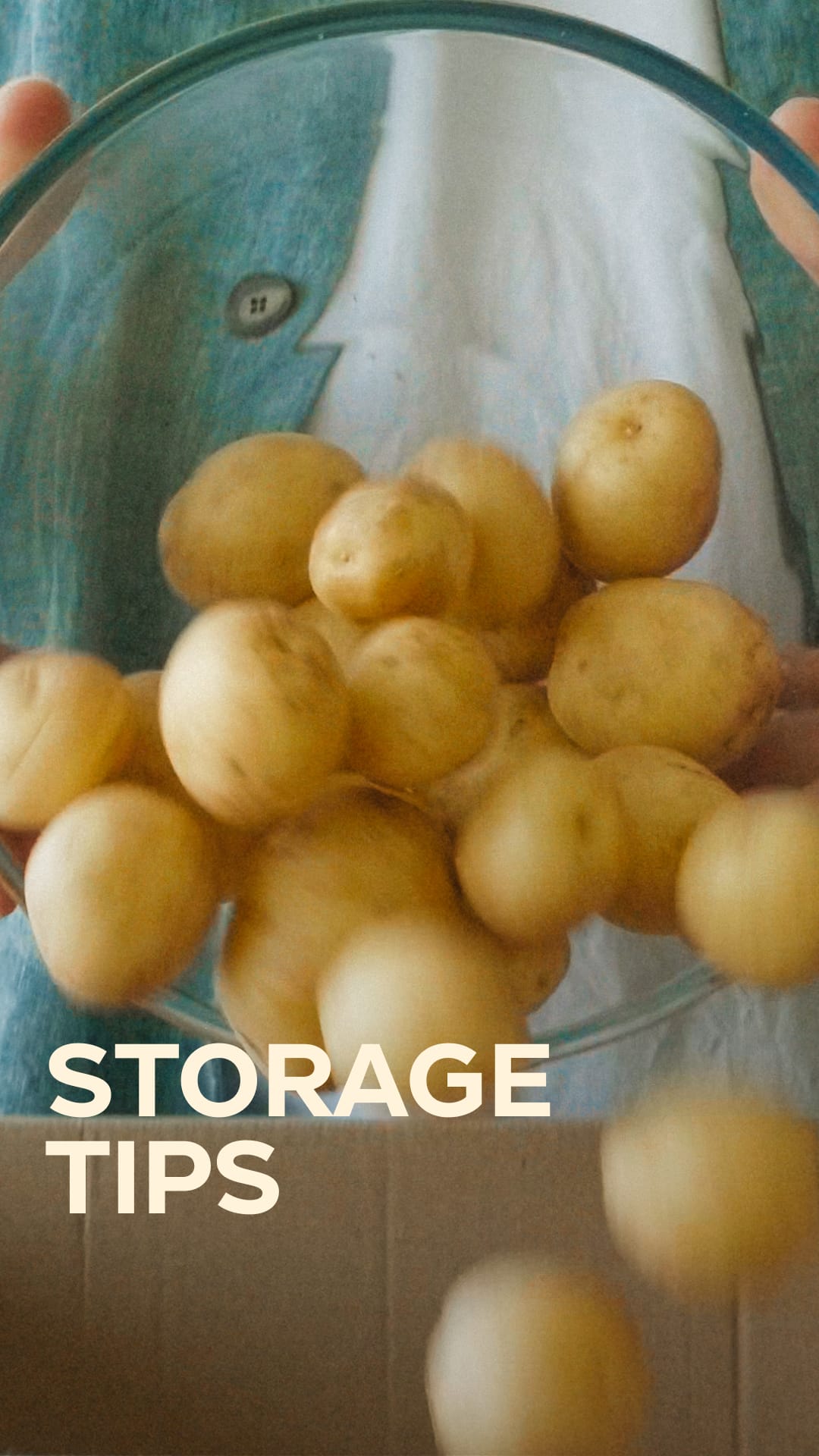 Tips on how to store food to prevent food waste