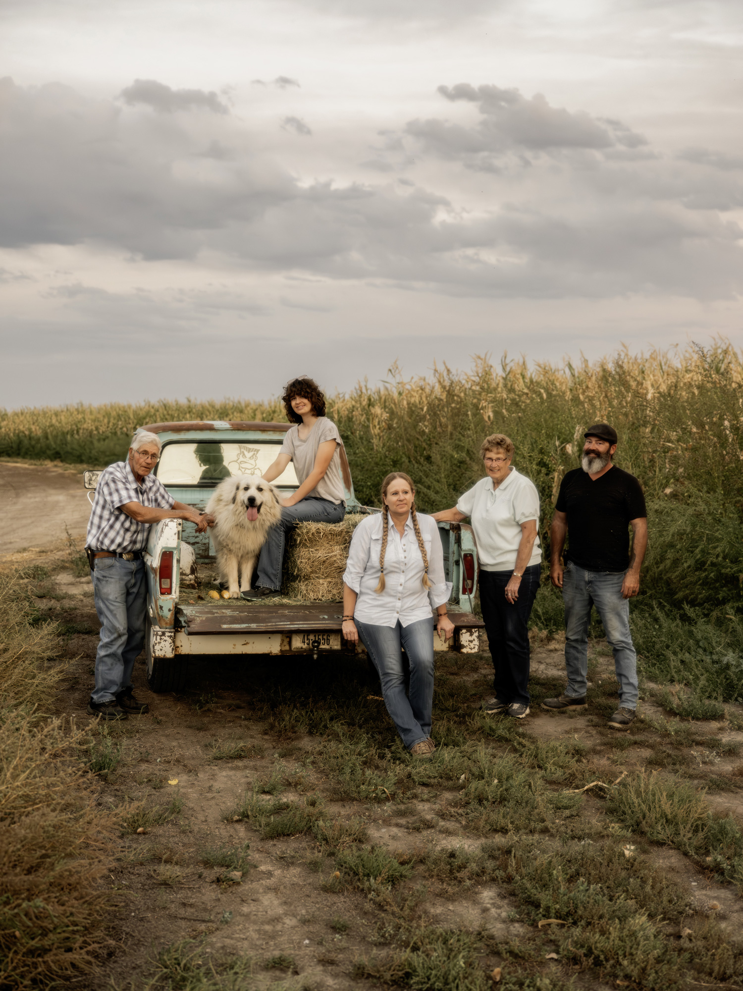 montana farm going organic