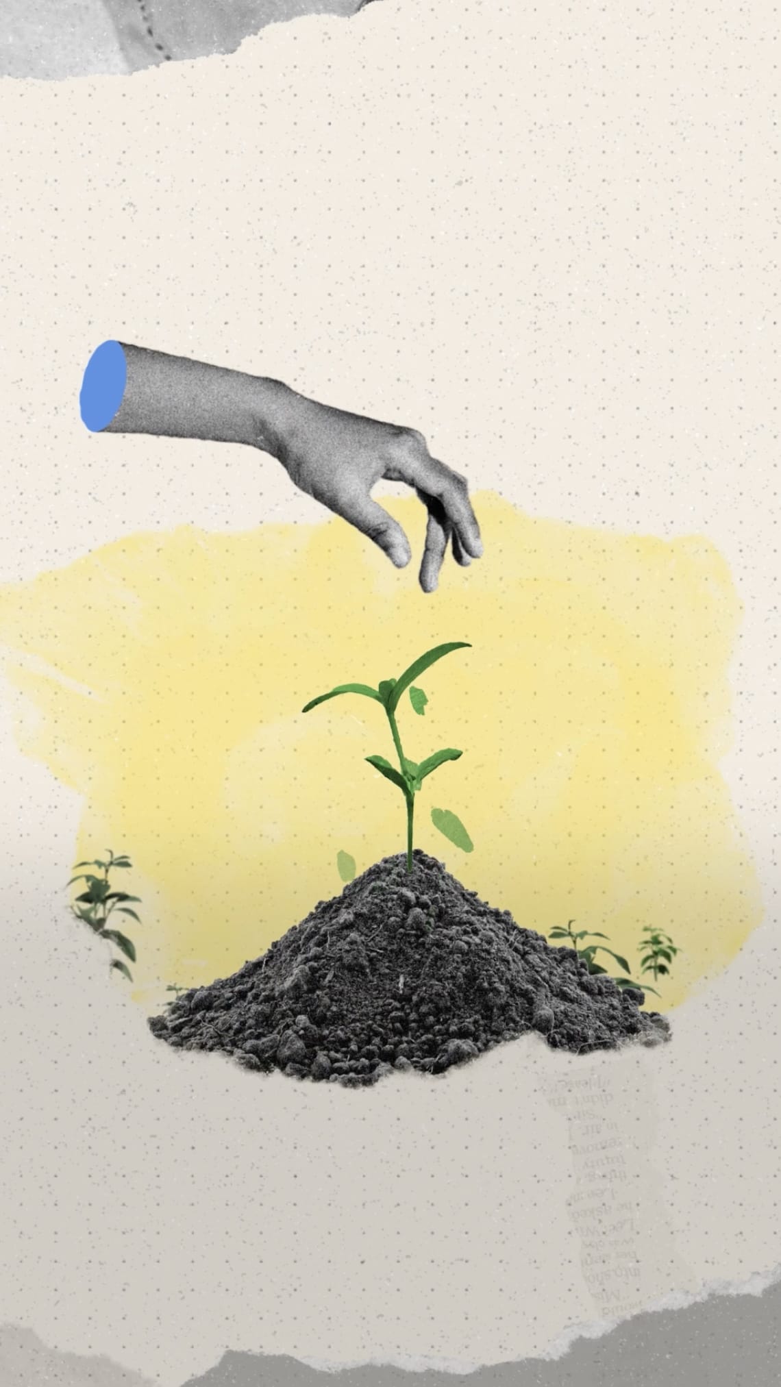 what is regenerative agriculture