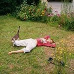 woman laying on the grass in a backyard while a cat walks by