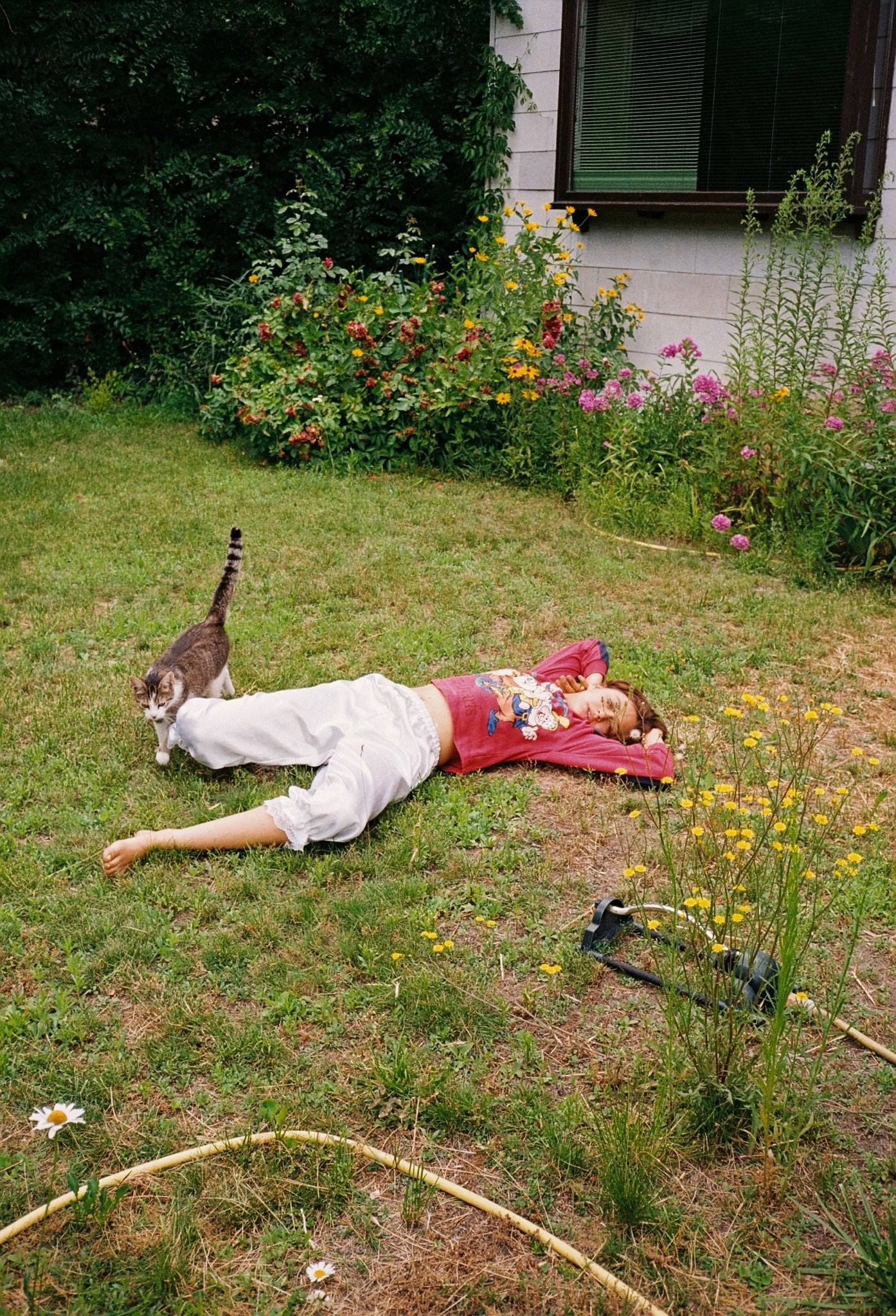 woman laying on the grass in a backyard while a cat walks by