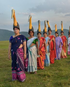 The hargila stork army posing for a photo in nature.