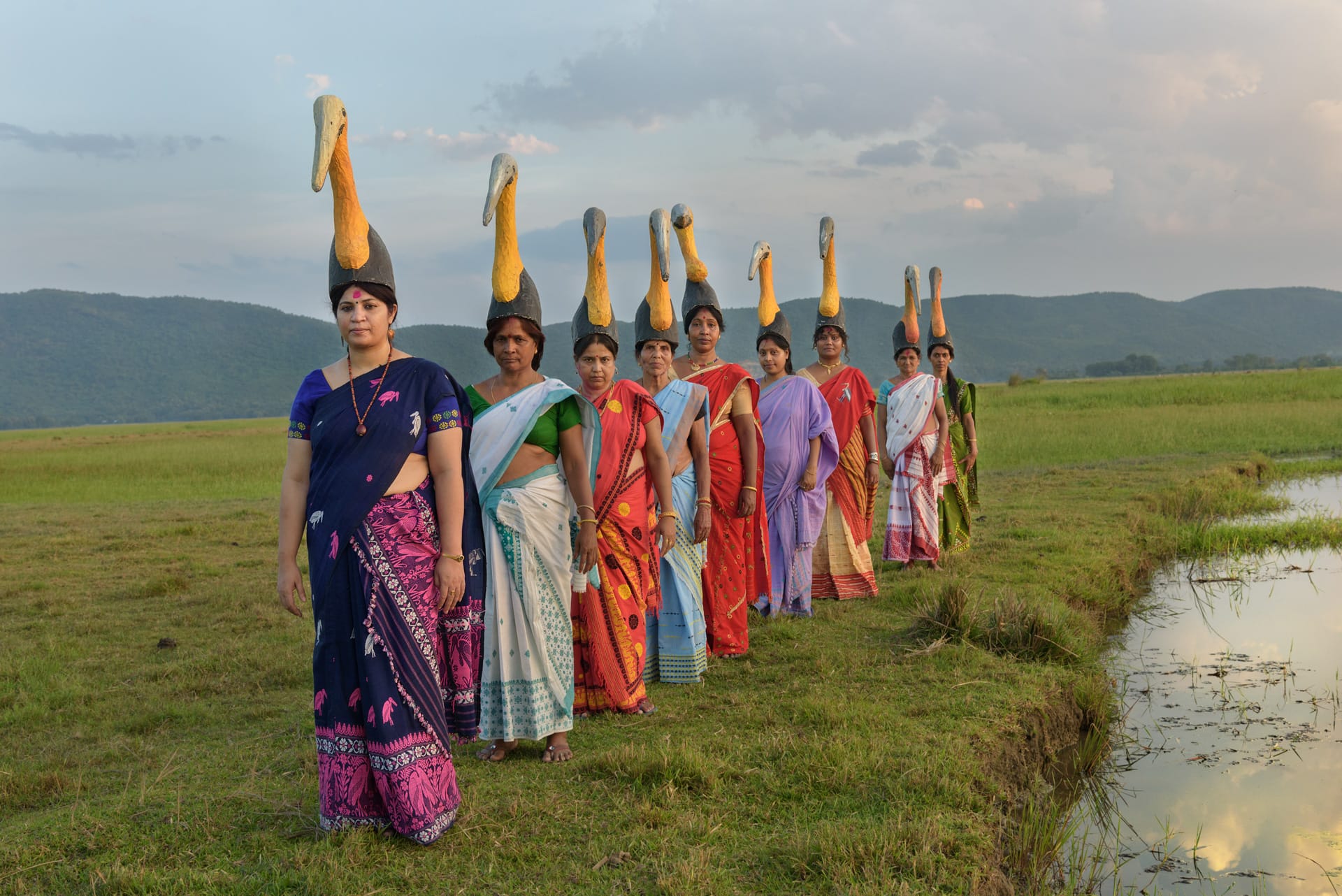 The hargila stork army posing for a photo in nature.