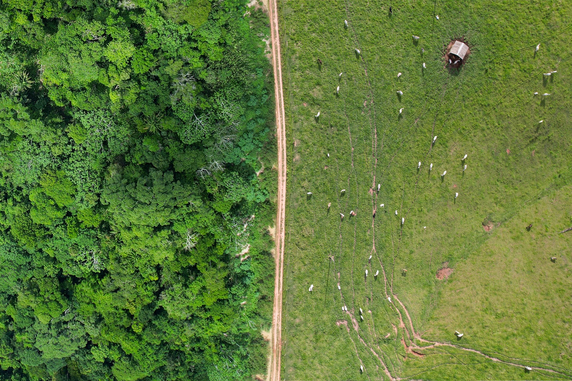 aerial view showing the environmental impact in an agro-extractive settlement project in the state of Acre, in the Brazilian Amazon.