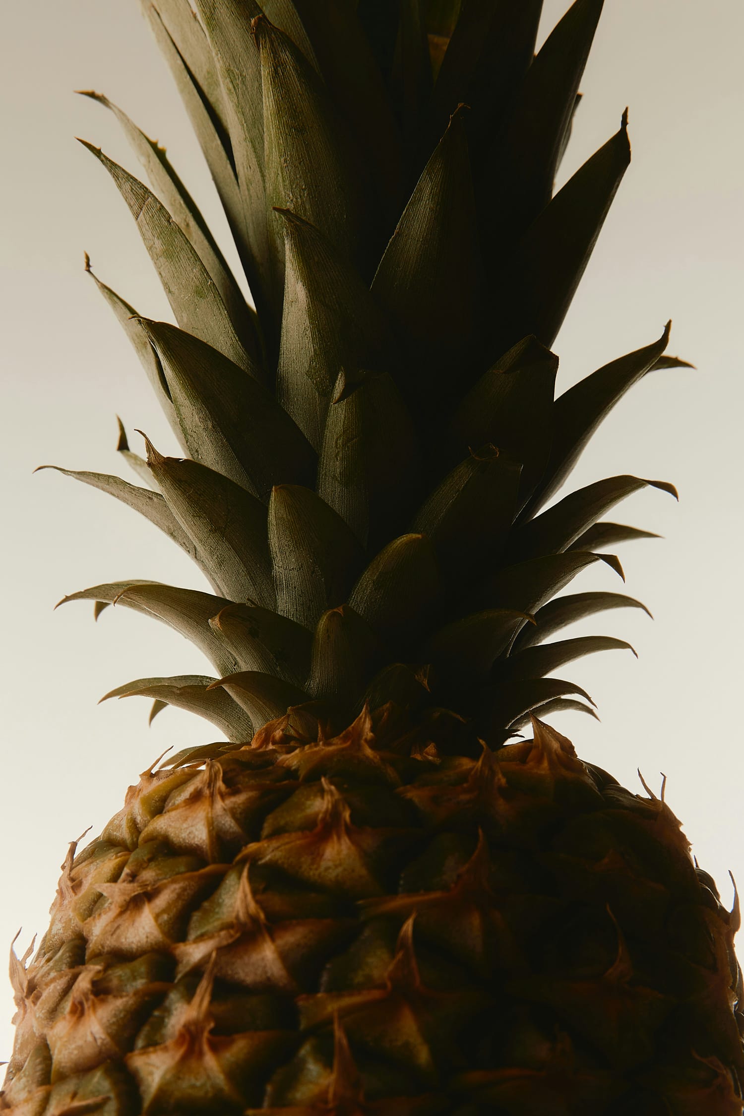 Close up of a pineapple a source for vegan leather