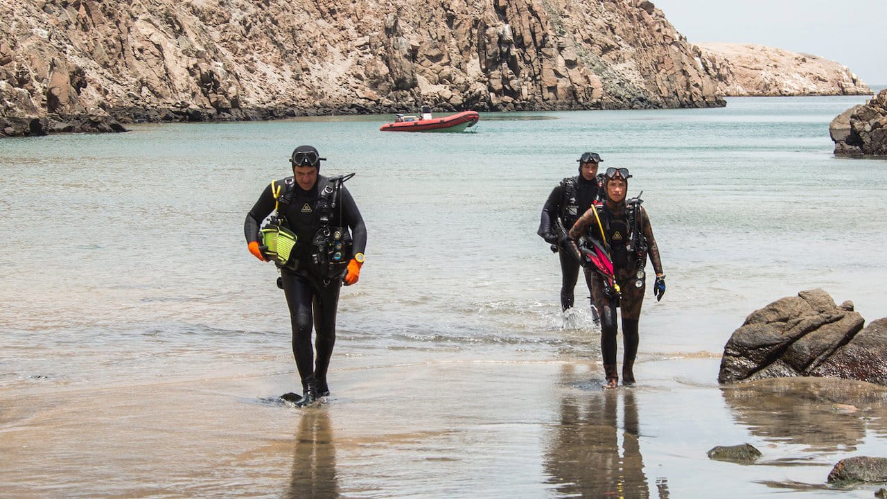 Three divers emerging from the water. This nature documentary blends history, science and breathtaking visuals.