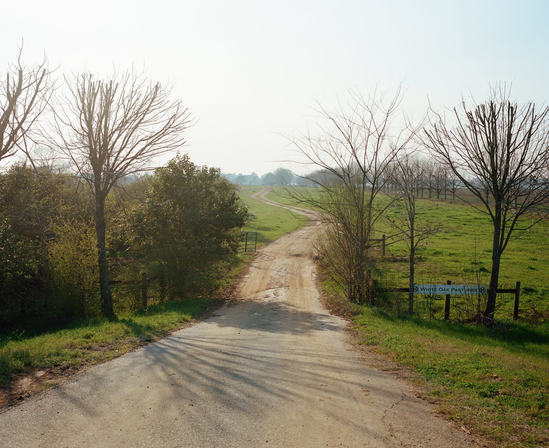 A dirt road leads to the entrance of White Oak Pastures in Bluffton, Georgia.