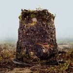 a pile of compost