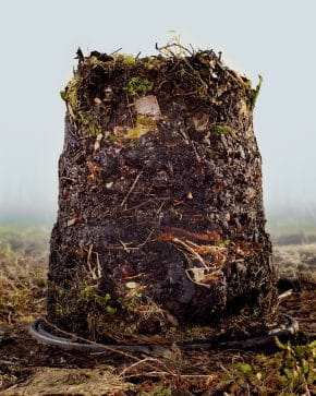 a pile of compost