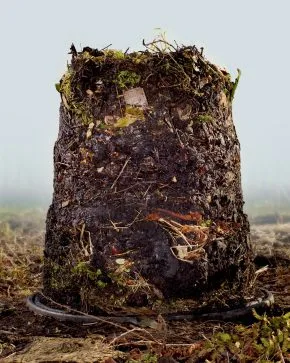 a pile of compost