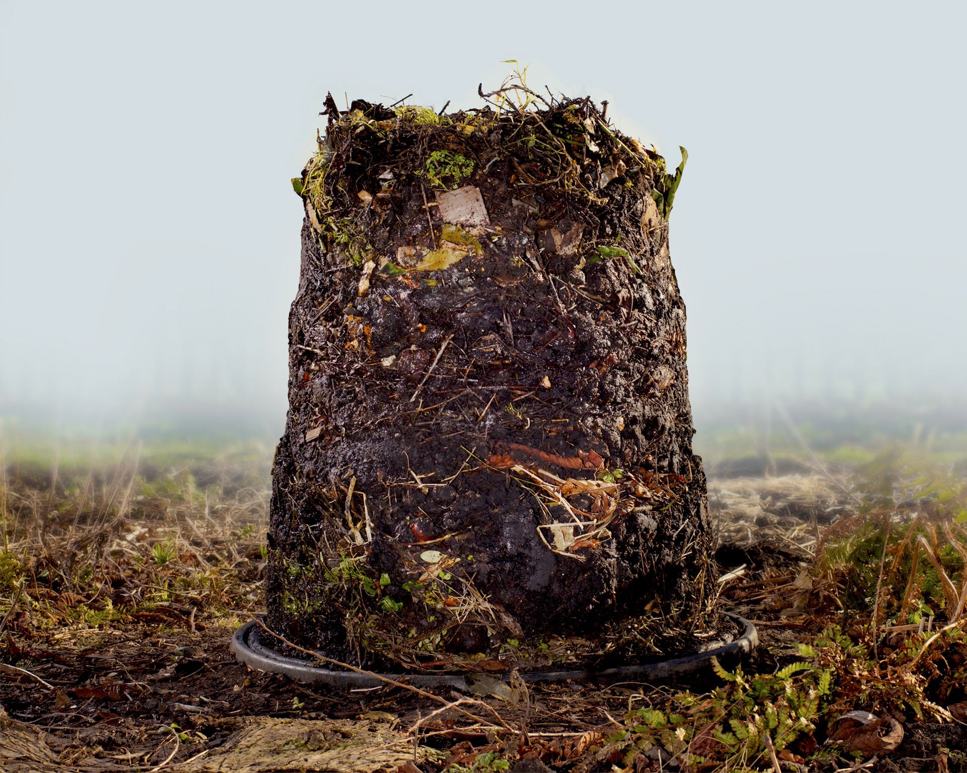 a pile of compost