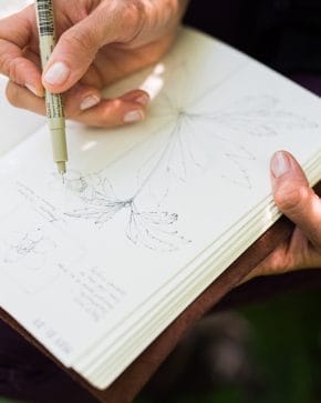 Close up of someone nature journaling in a notebook.