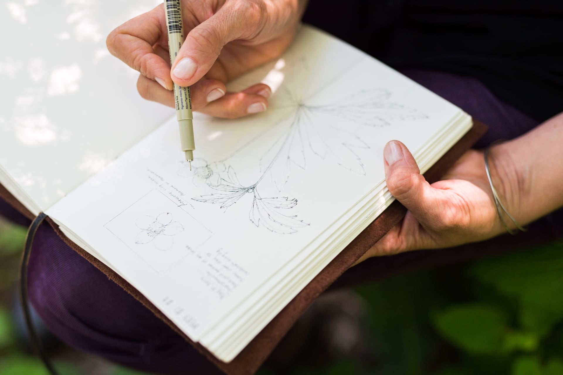 Close up of someone nature journaling in a notebook.