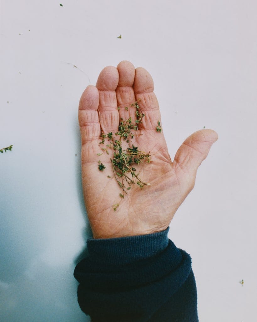 herbs