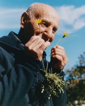 elderly man discovering edible plants