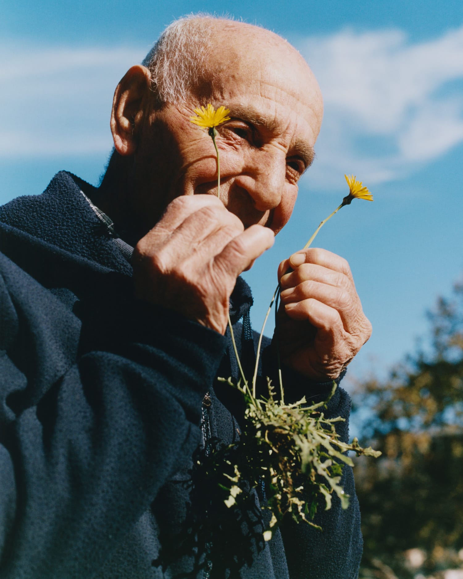 elderly man discovering edible plants