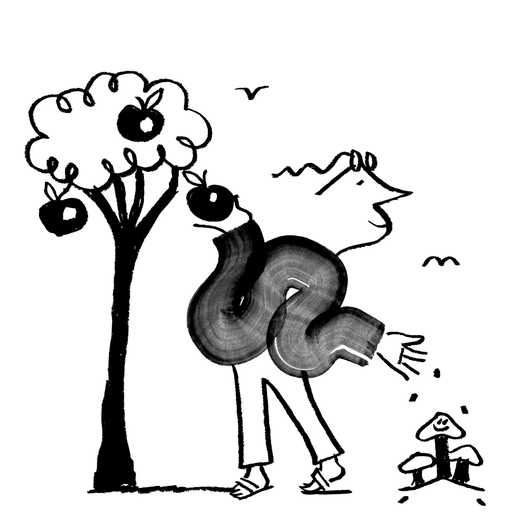 Imagine5 Category Icon Nature Upd