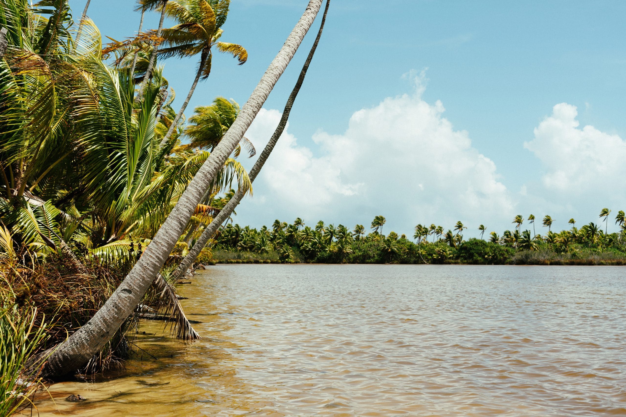 the brando is located on Tetiaroa