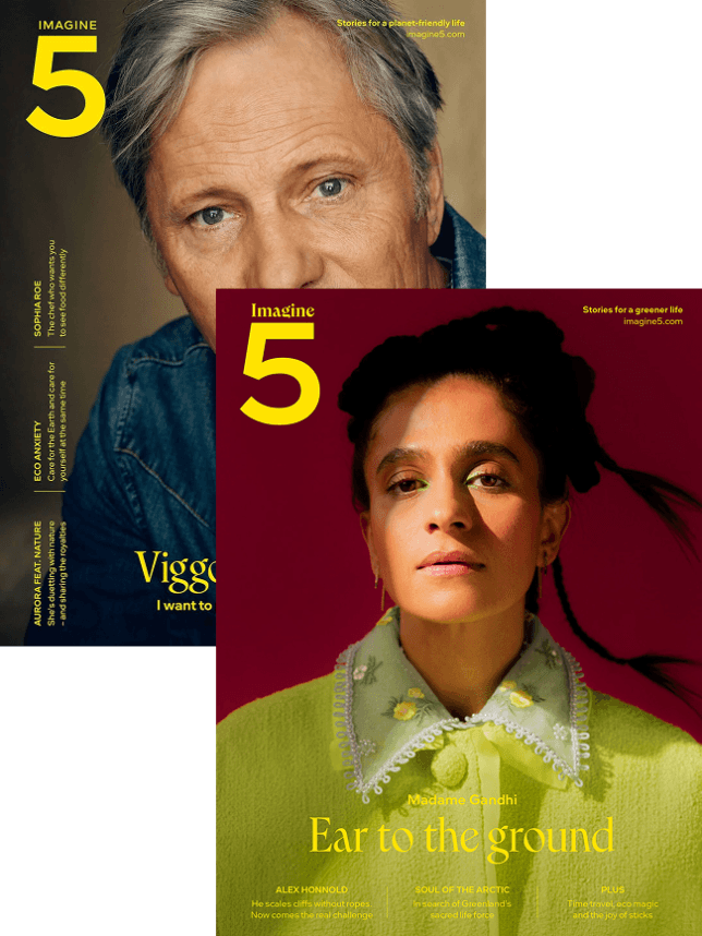 Bundle - Volume 3 and 4