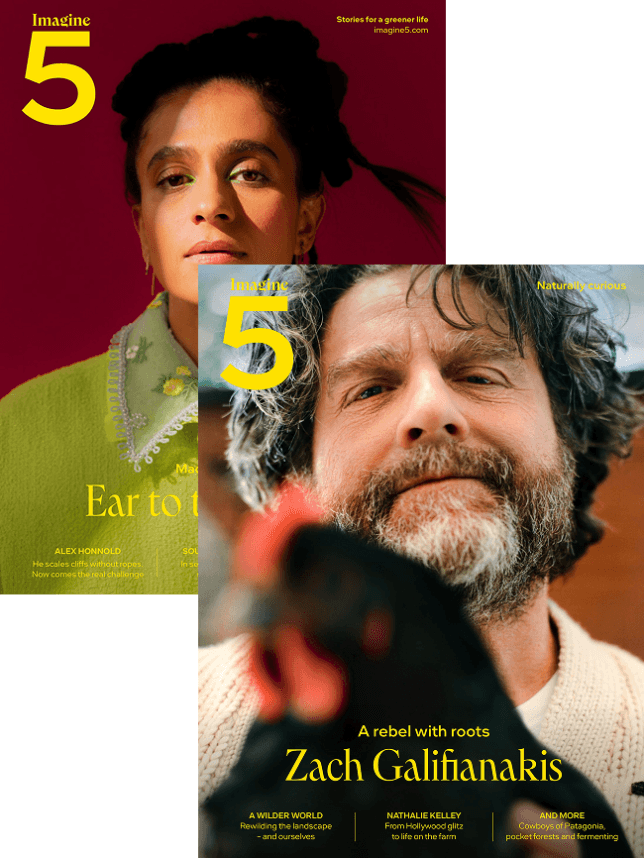 Magazine subscription (two per year)