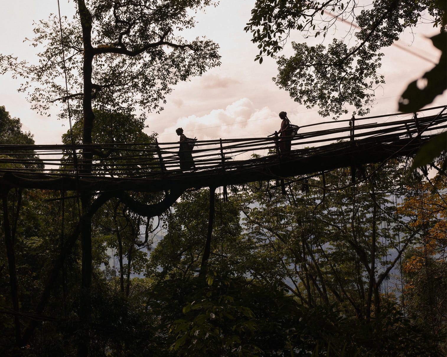bridge meghalaya