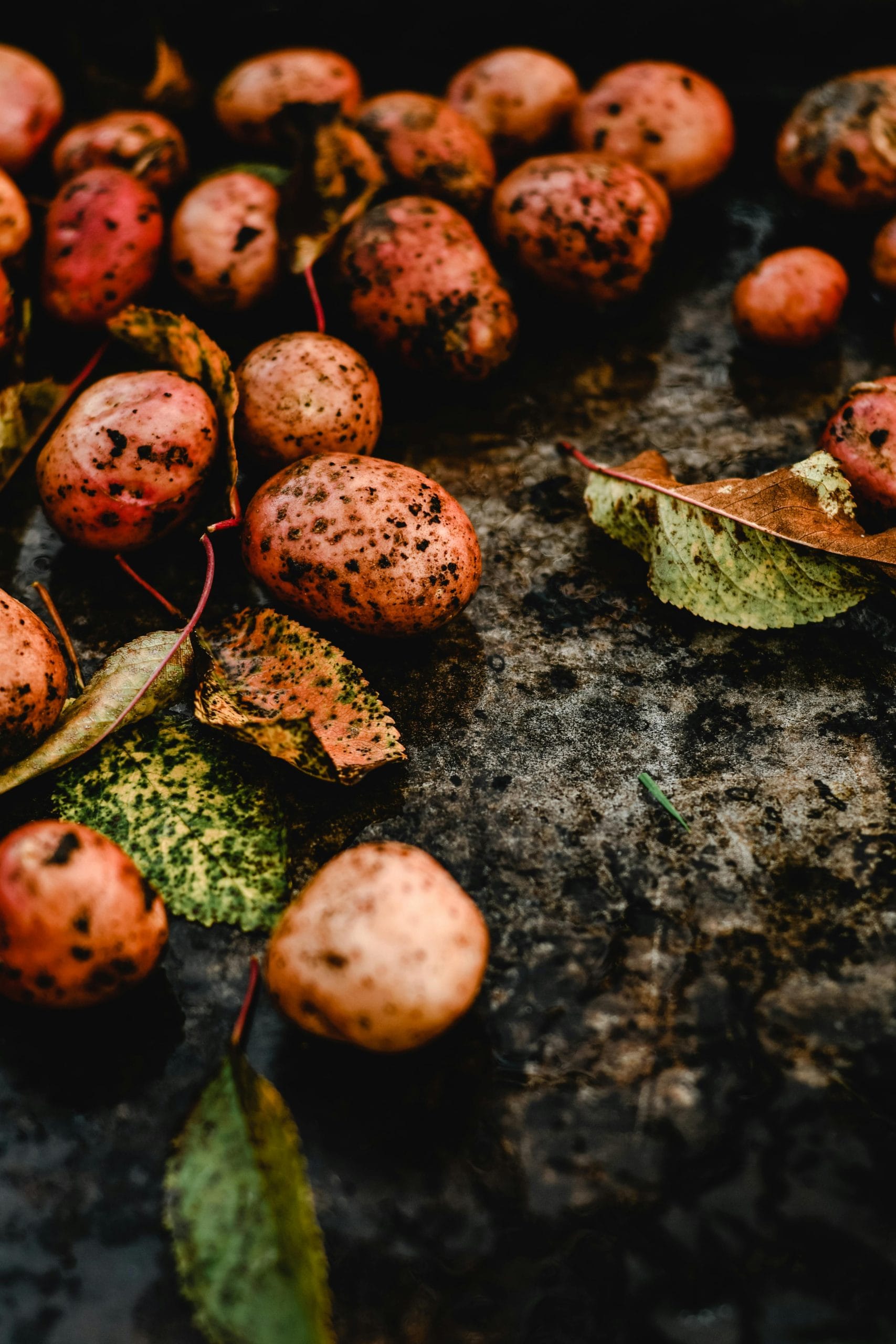 potatoes