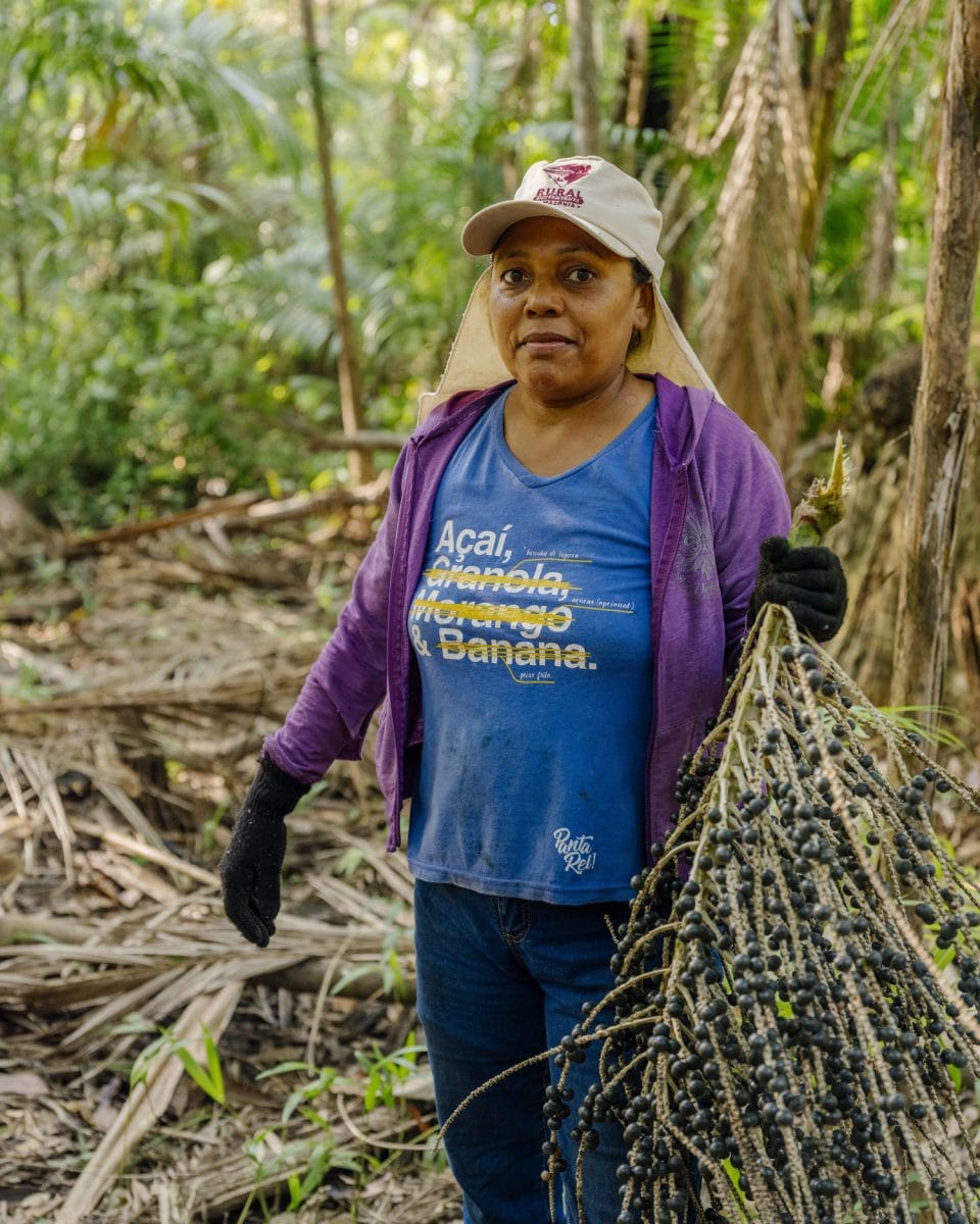 Angela Icleia dos Reis Castro harvesting açaí berries.