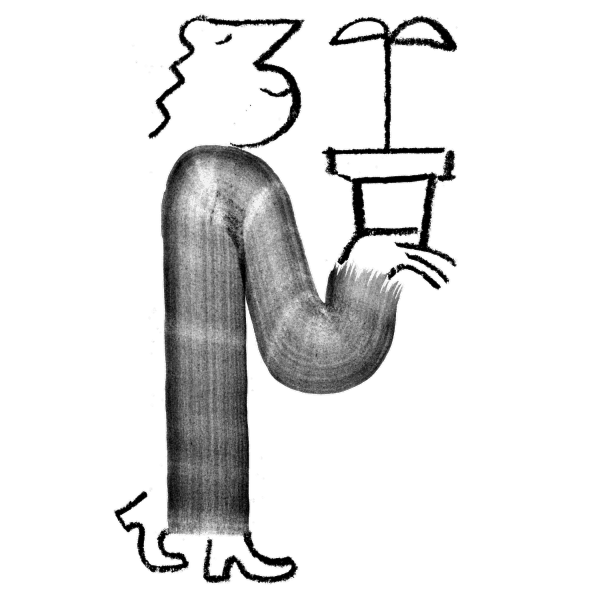 Imagine5 Brand Illustration Contibute Donate Transparent