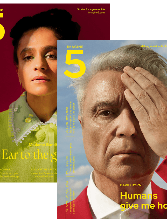 david byrne madame gandhi volume 2 and 4 imagine5 magazine