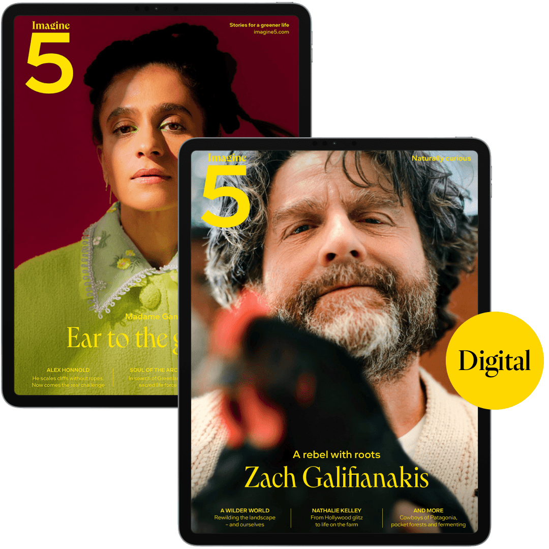 Digital magazine subscription (two per year)