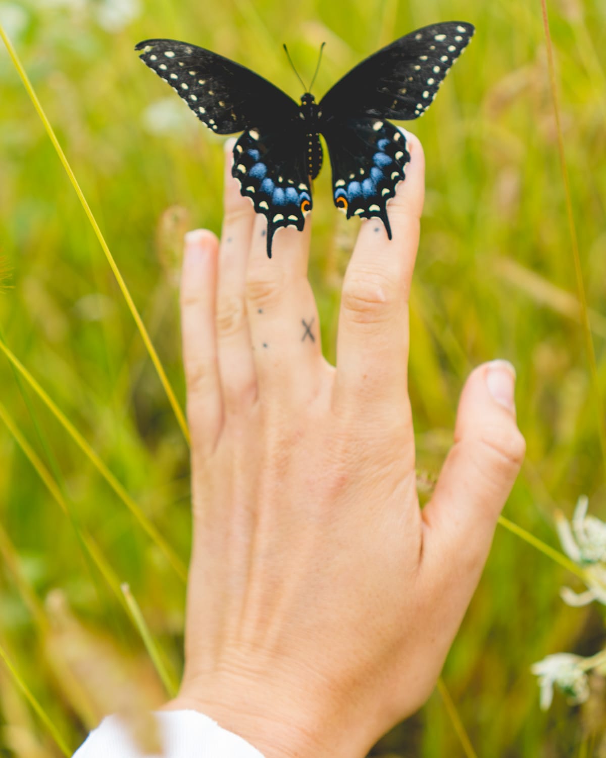 Lincoln, Nebraska - Saline Wetlands / Frank Shoemaker Marsh