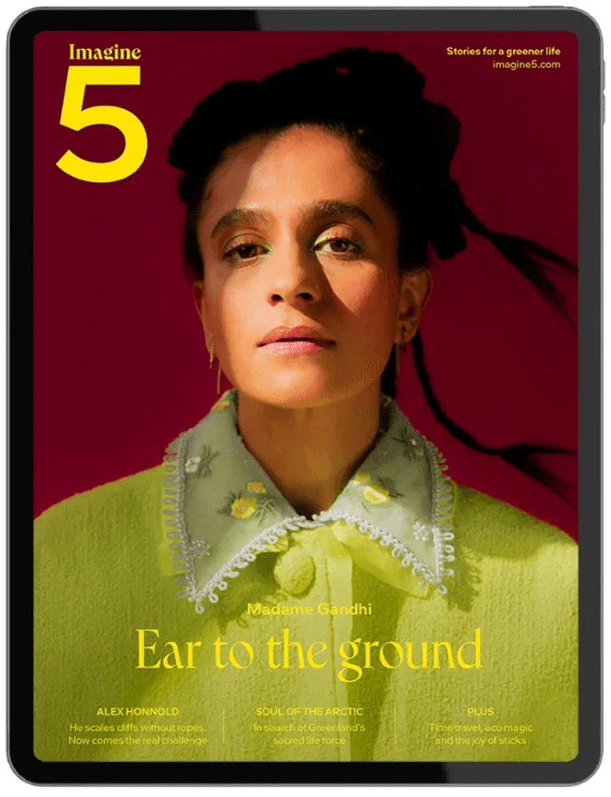 digital magazine in ipad