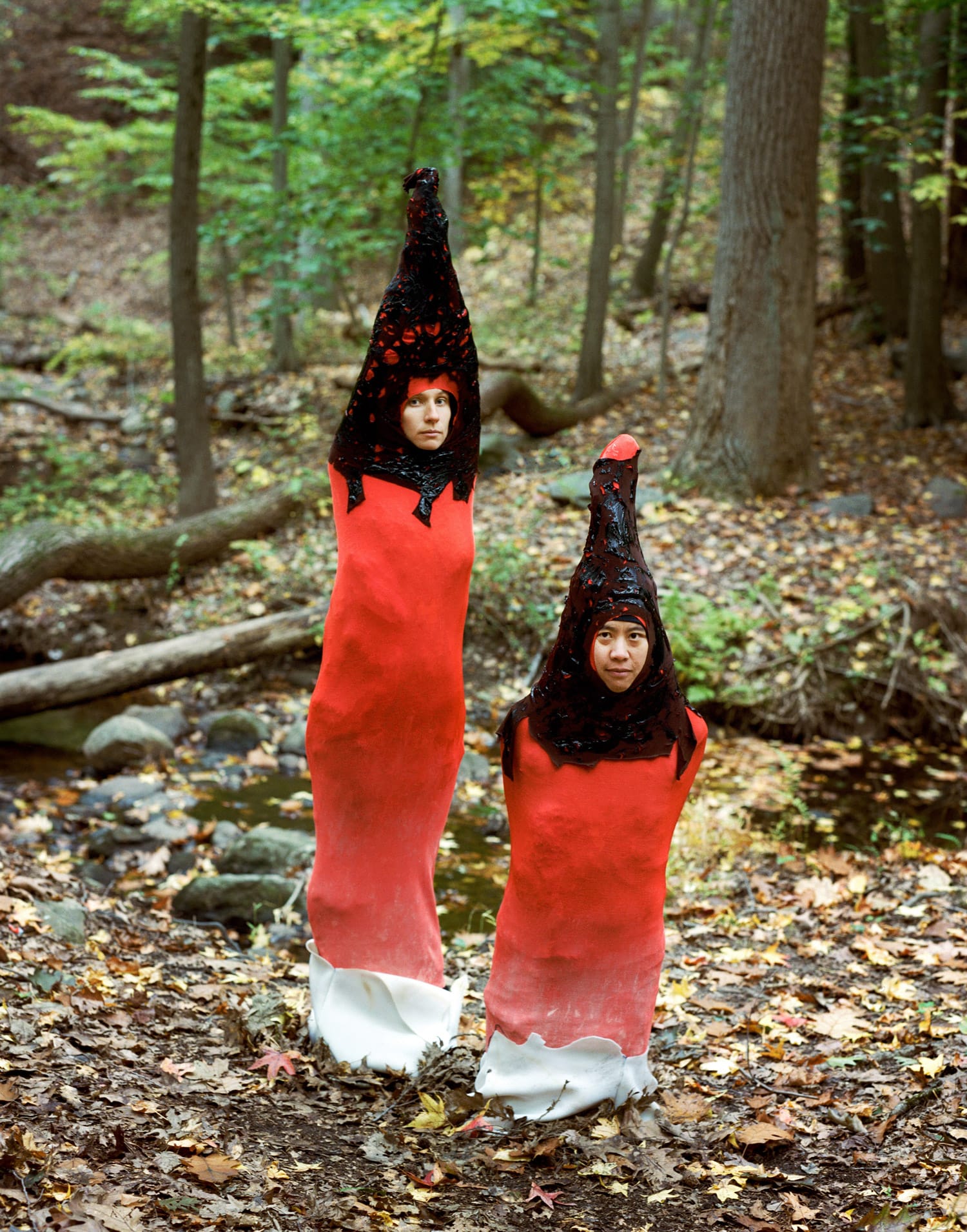 fungi mushroom costume
